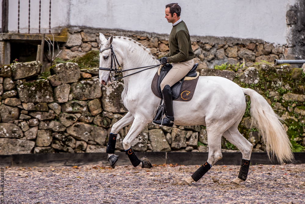 Salvador 20191119-103