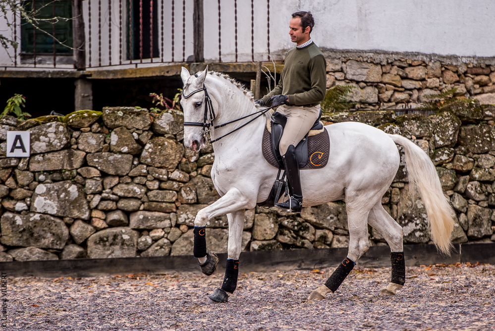 Salvador 20191119-104