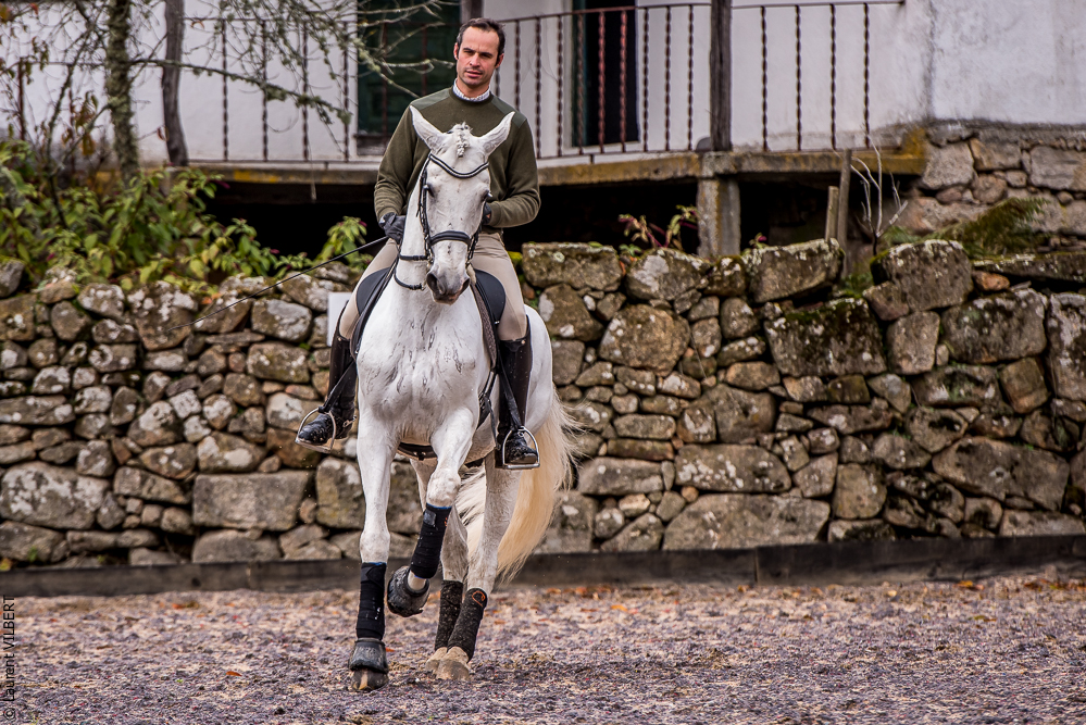 Salvador 20191119-107