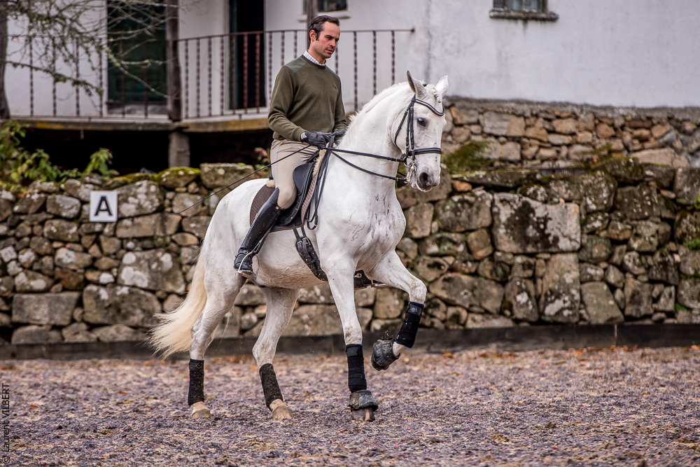 Salvador 20191119-108