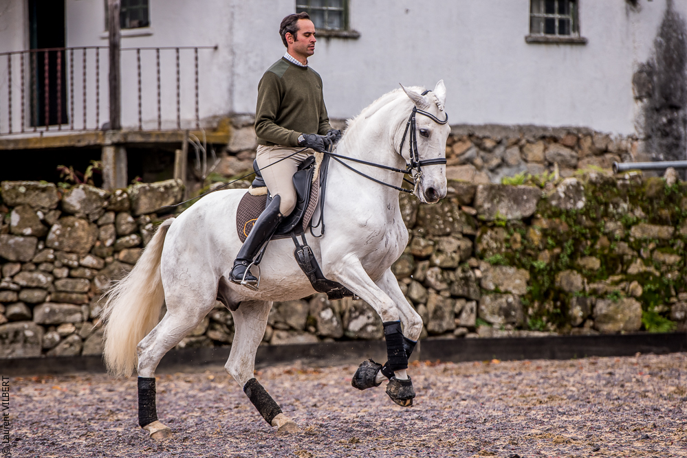 Salvador 20191119-109