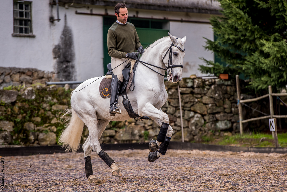 Salvador 20191119-111