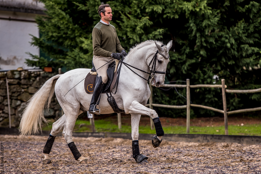 Salvador 20191119-112