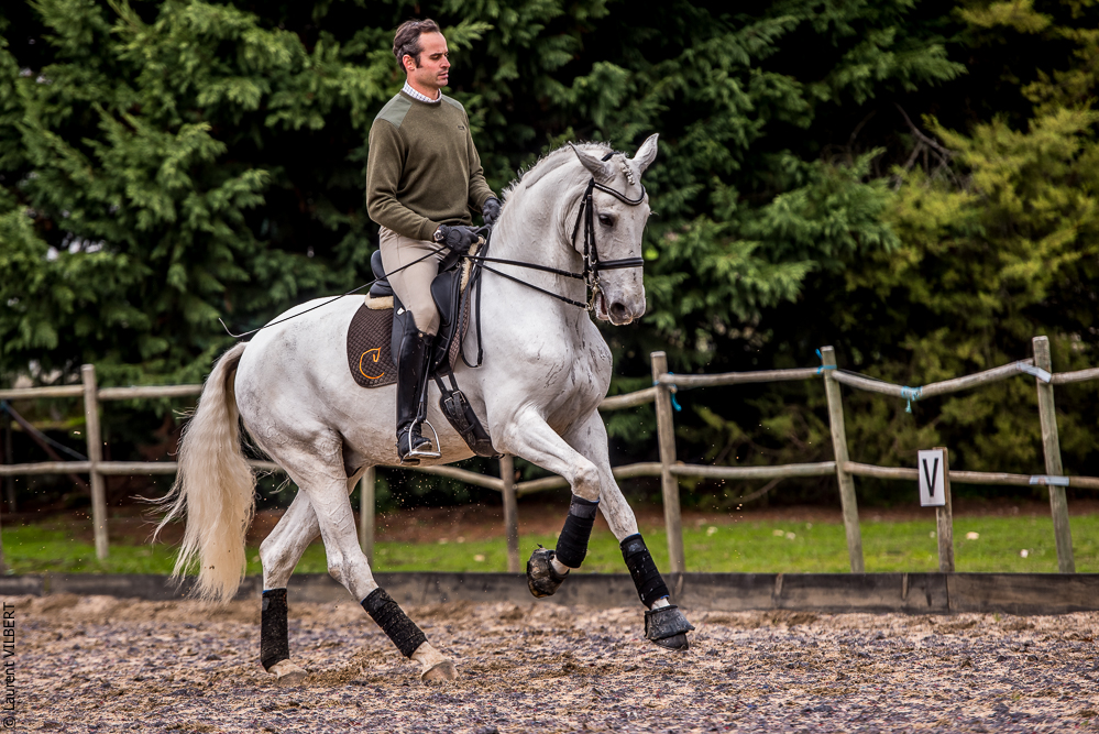Salvador 20191119-113