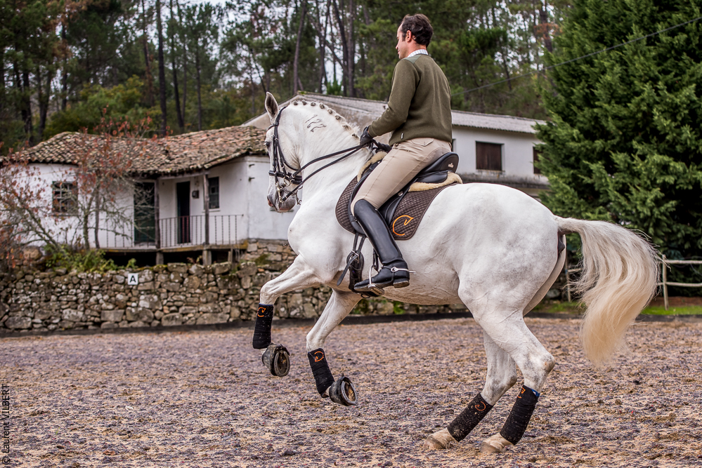 Salvador 20191119-117