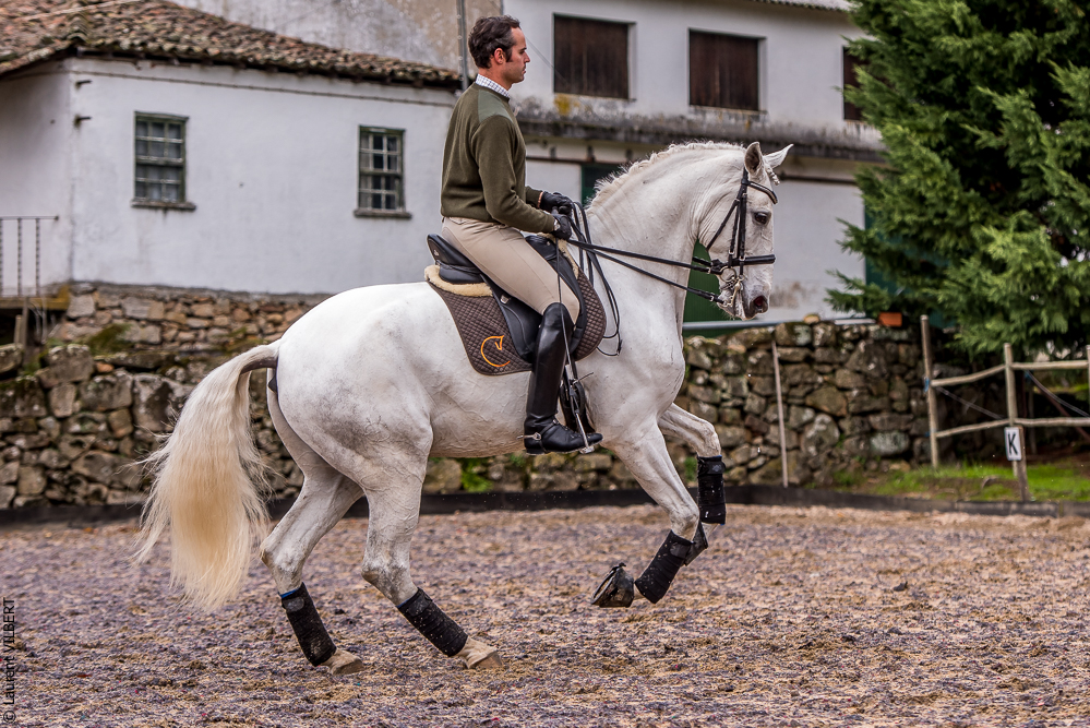 Salvador 20191119-119