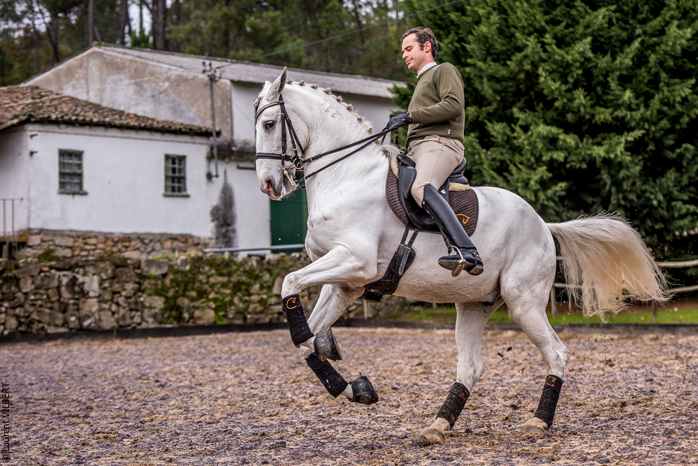 Salvador 20191119-120