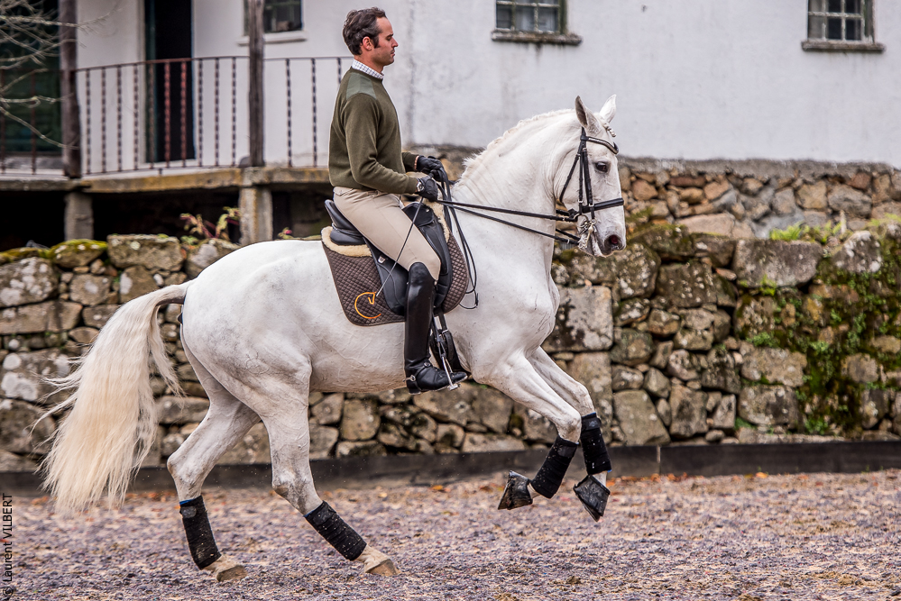Salvador 20191119-123