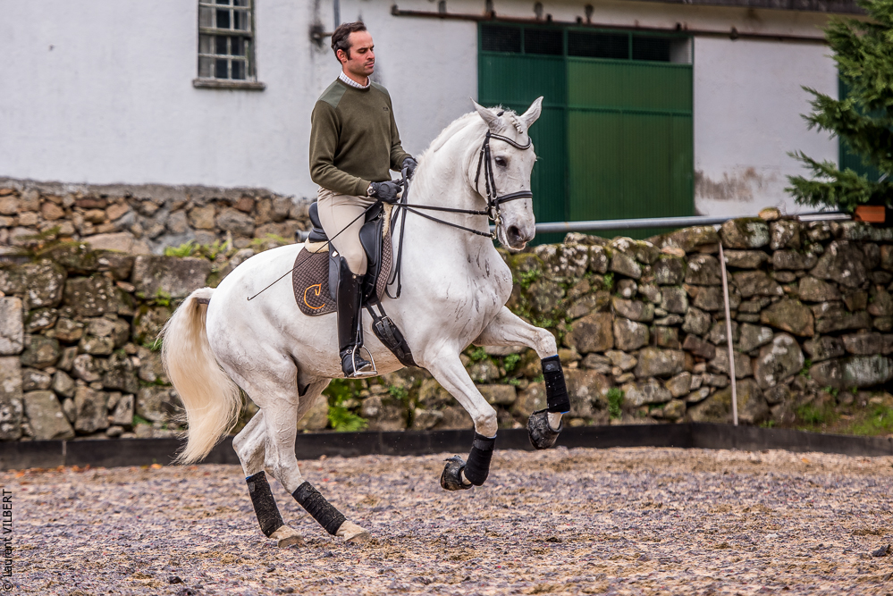 Salvador 20191119-125