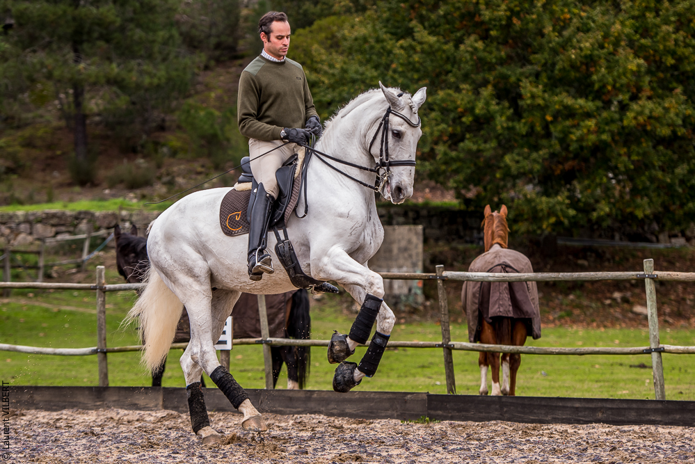 Salvador 20191119-126