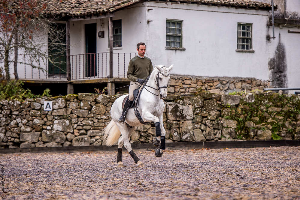 Salvador 20191119-127