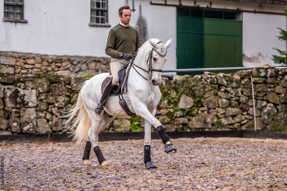 Salvador 20191119-128