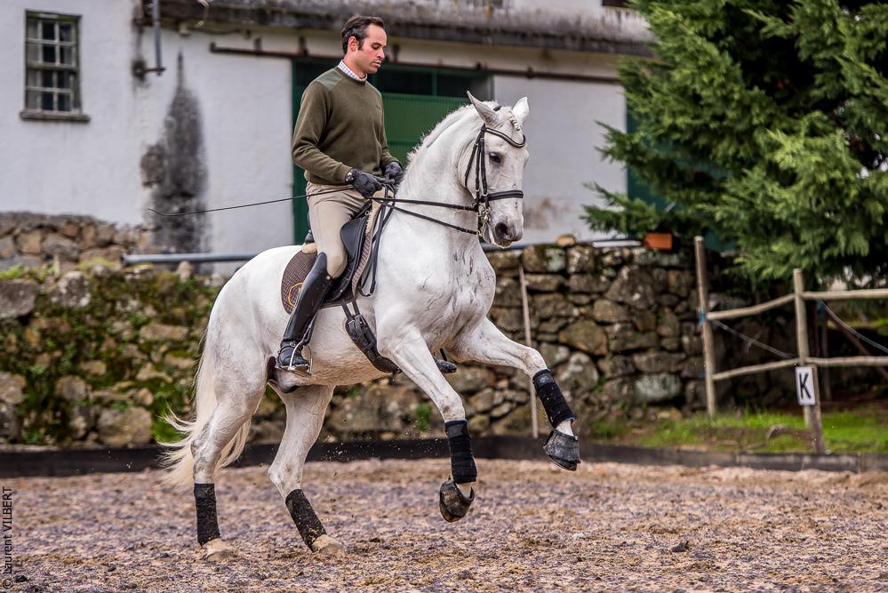 Salvador 20191119-129