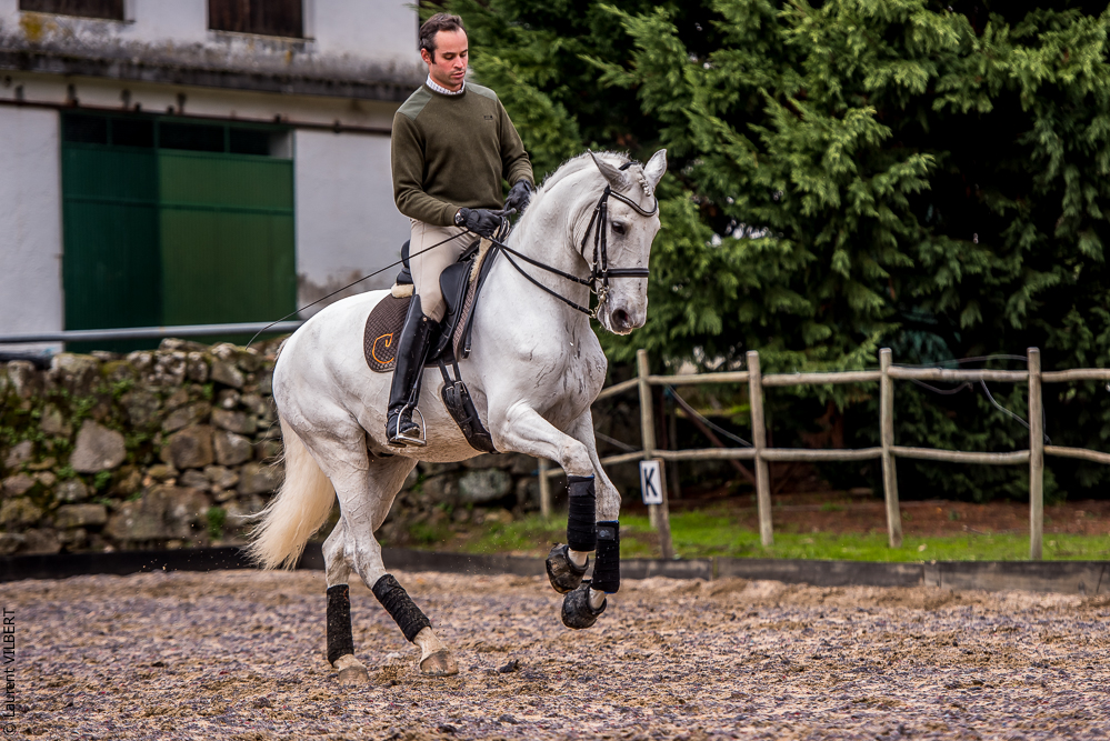 Salvador 20191119-130