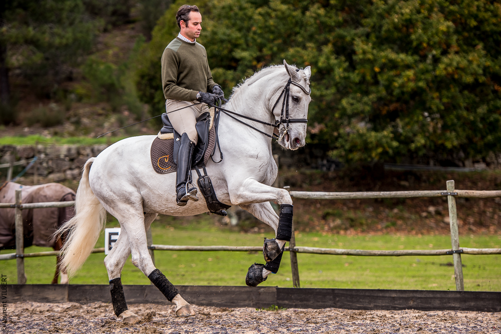 Salvador 20191119-132