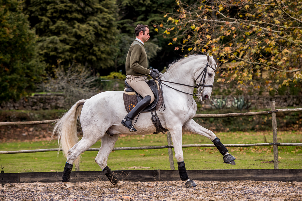 Salvador 20191119-133