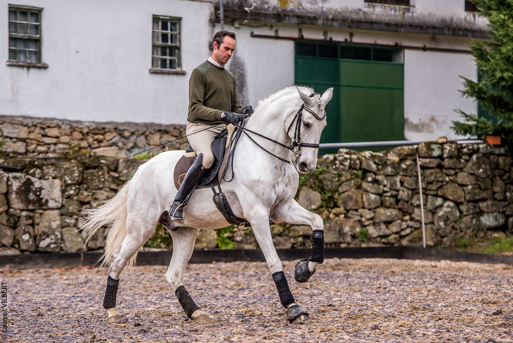 Salvador 20191119-136