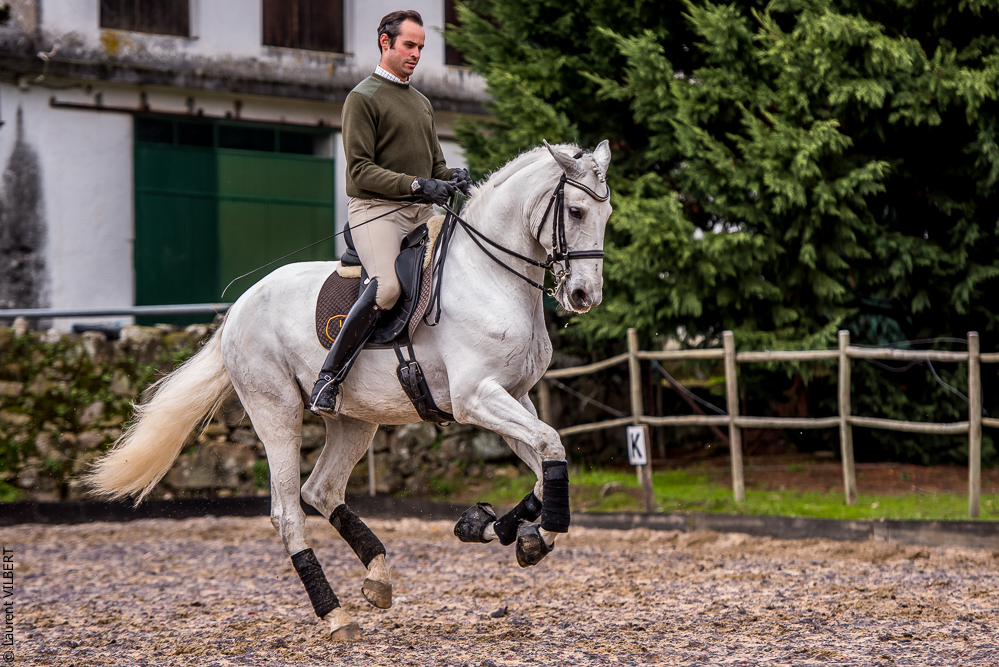 Salvador 20191119-137