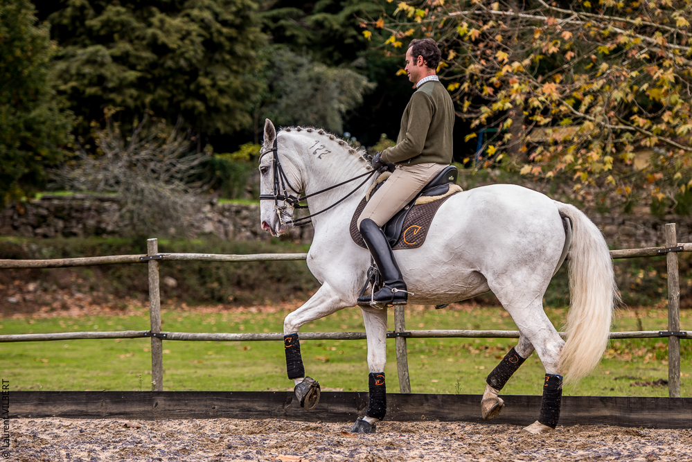 Salvador 20191119-143