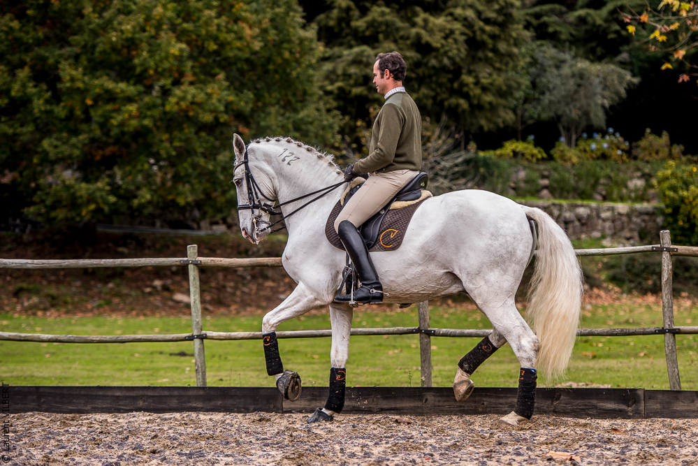 Salvador 20191119-146