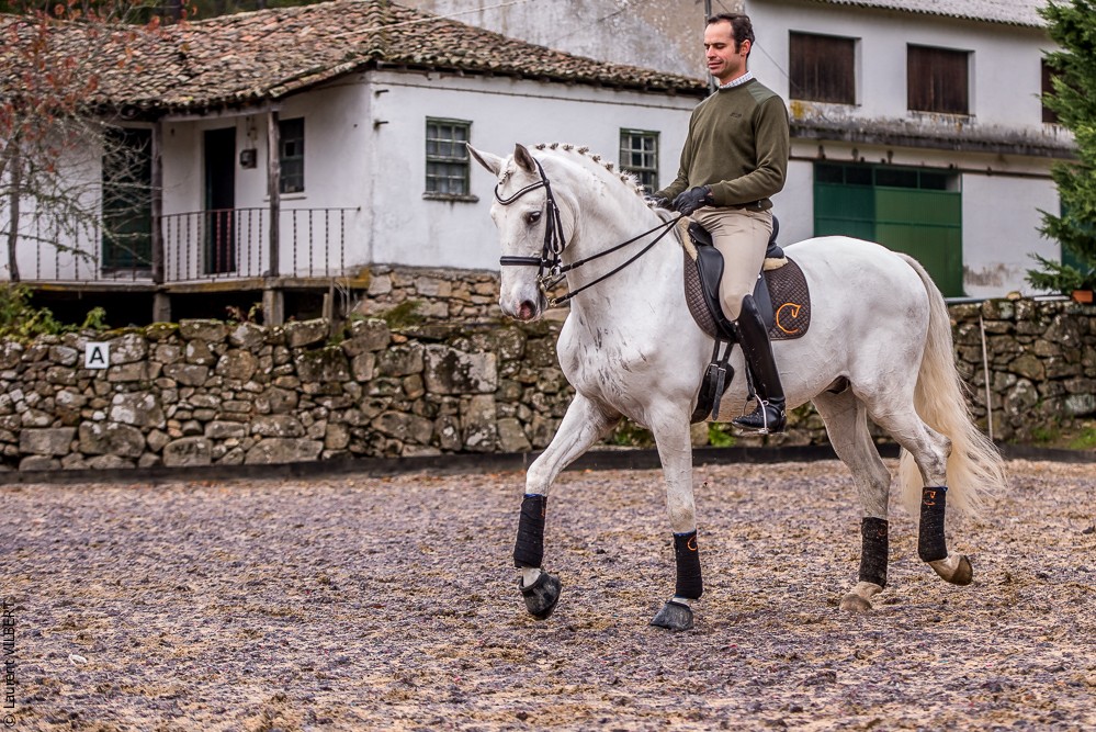 Salvador 20191119-151