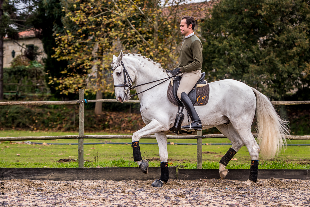 Salvador 20191119-155