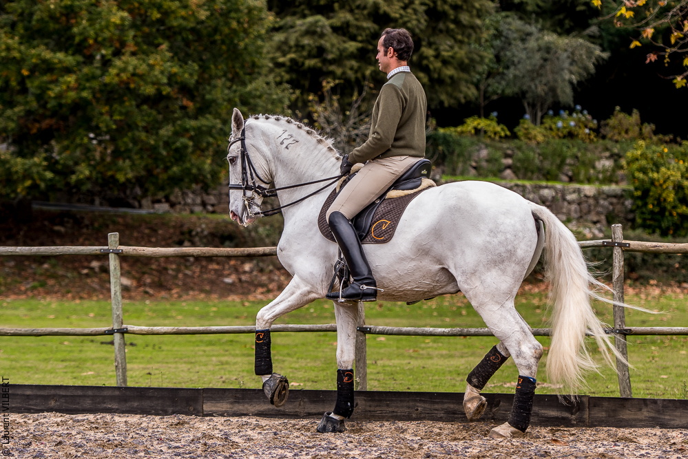 Salvador 20191119-166