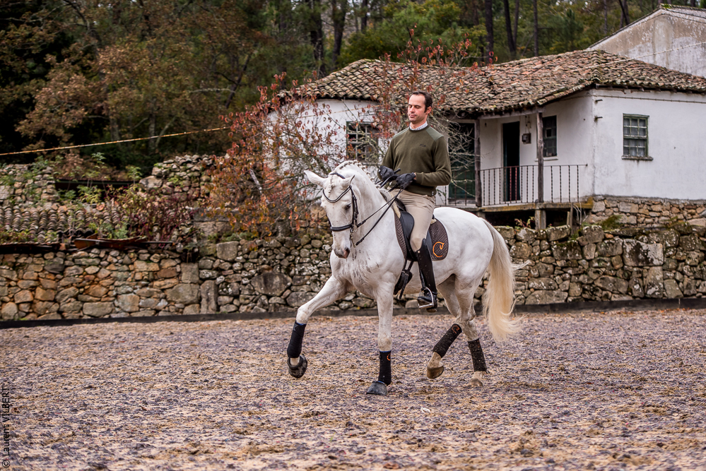 Salvador 20191119-167