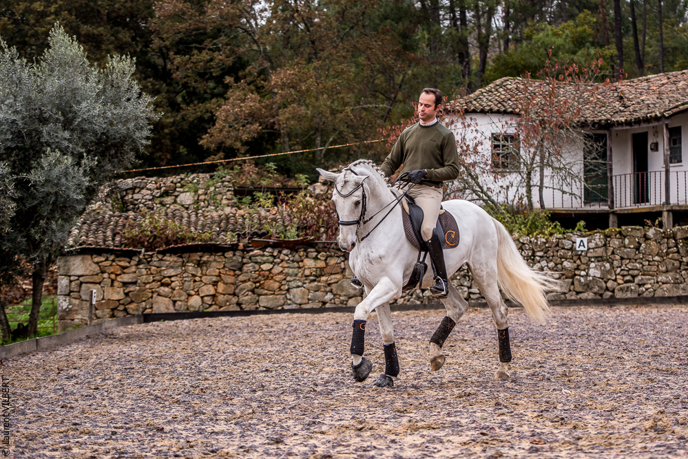 Salvador 20191119-168