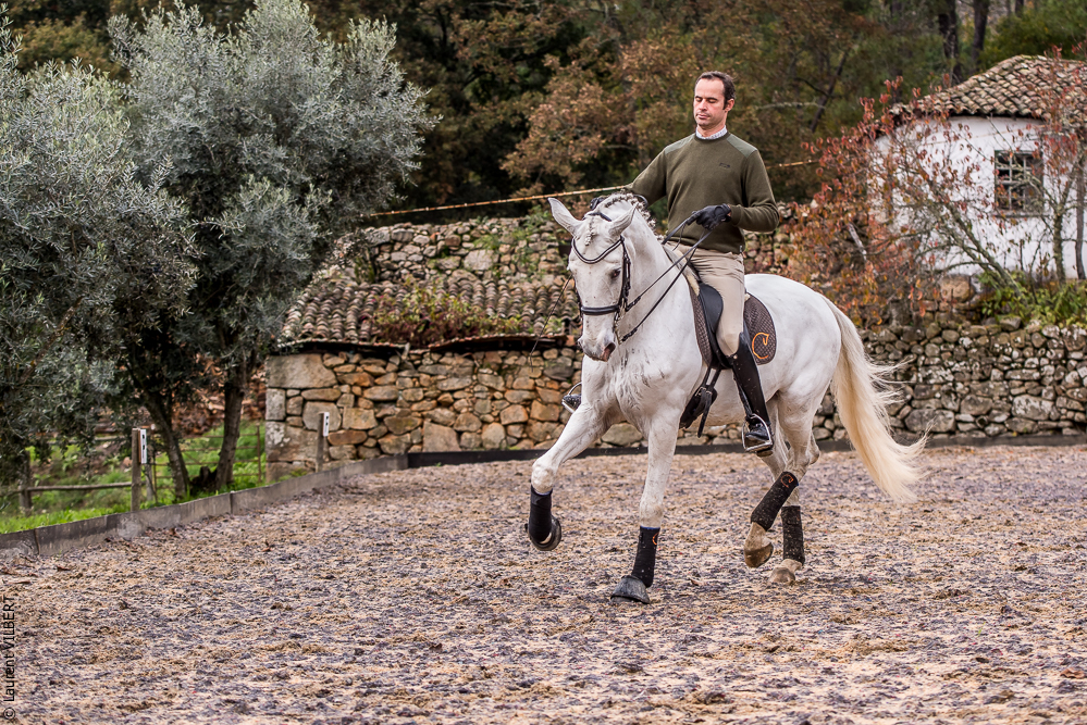 Salvador 20191119-169