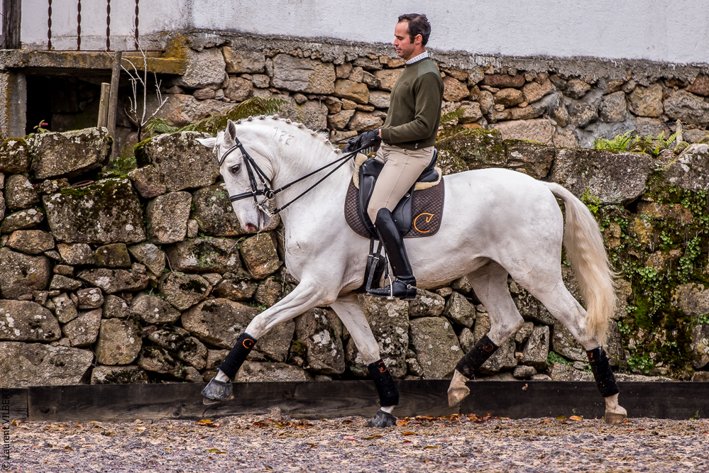 Salvador 20191119-176