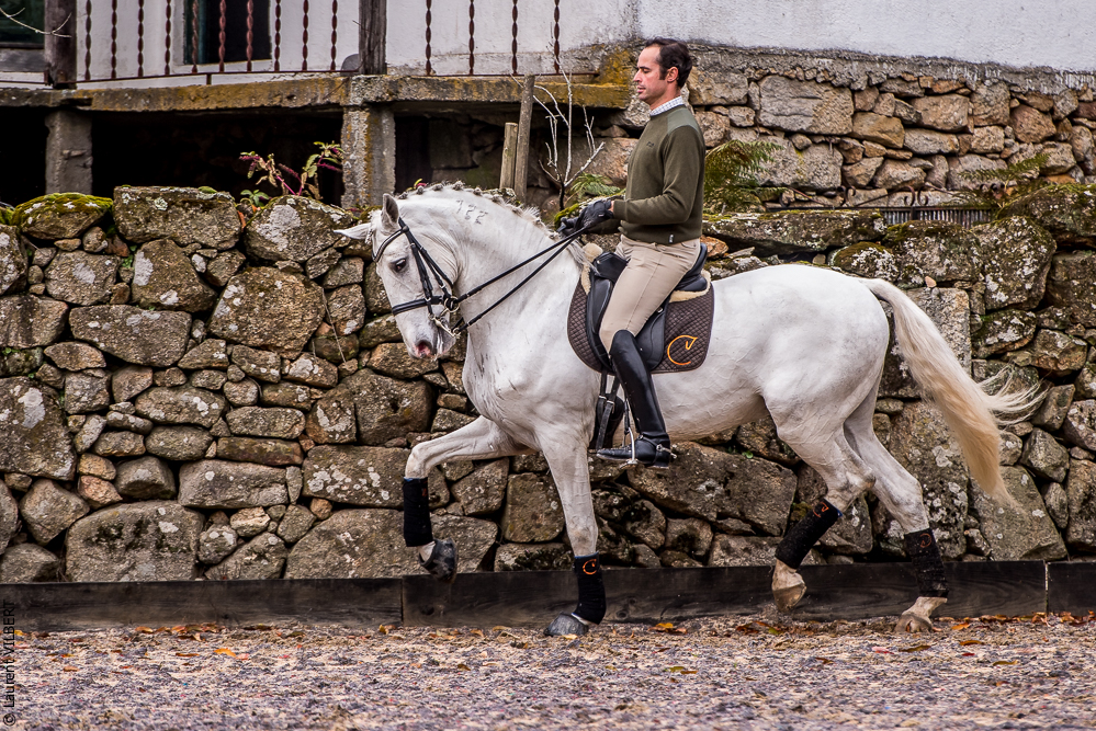 Salvador 20191119-177