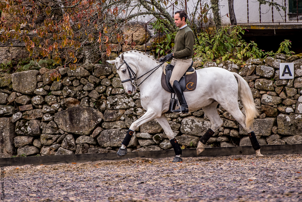 Salvador 20191119-179
