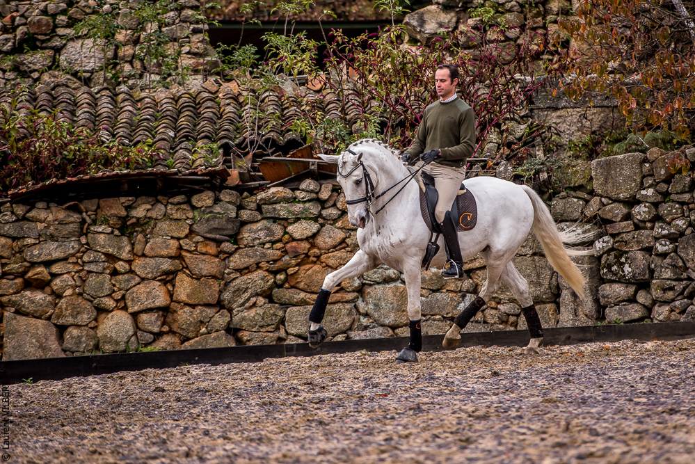 Salvador 20191119-181