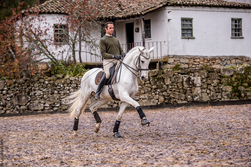 Salvador 20191119-182