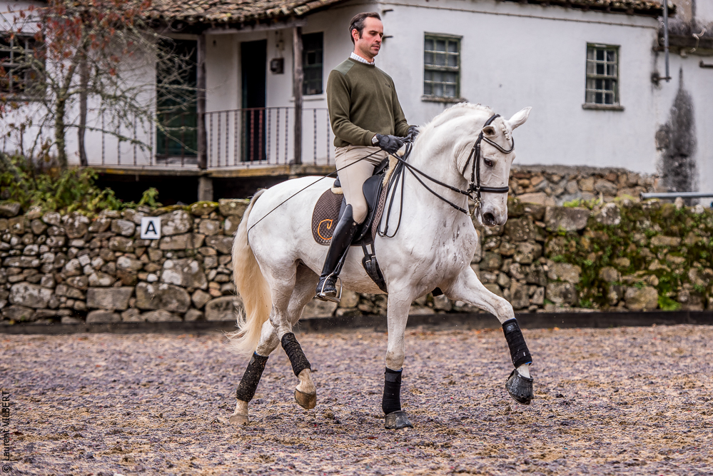 Salvador 20191119-183