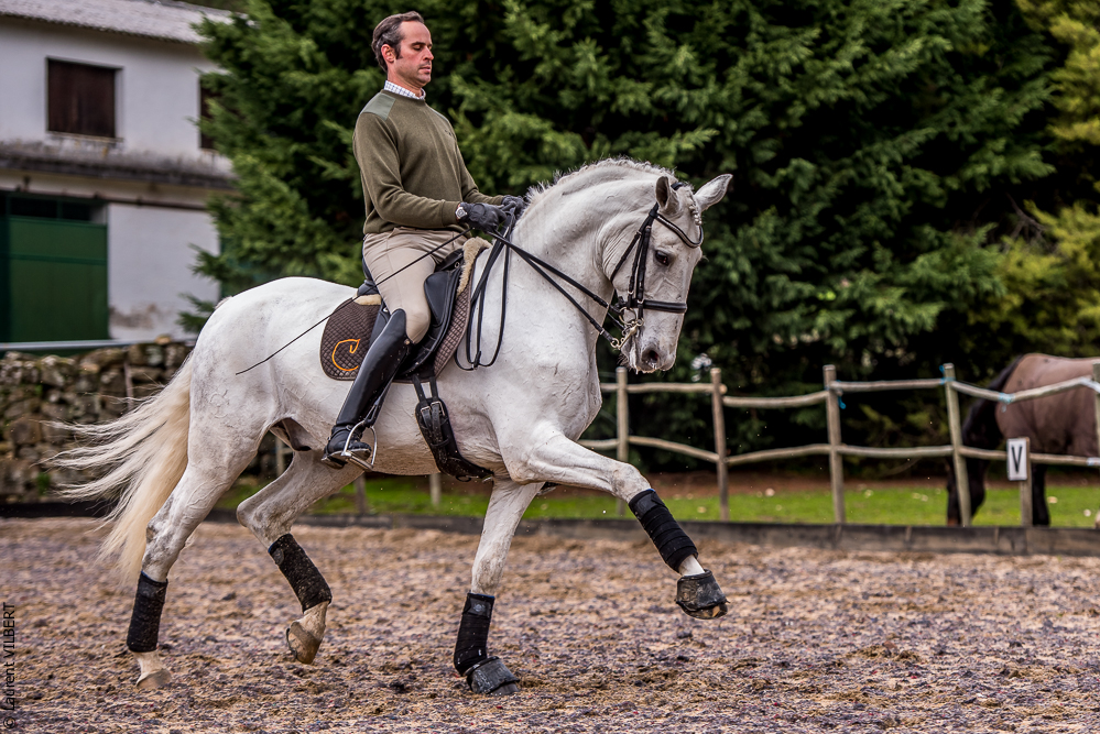 Salvador 20191119-184