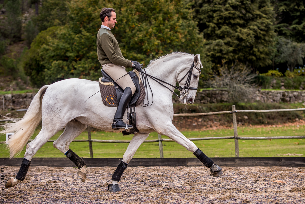 Salvador 20191119-185