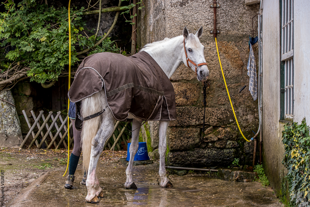 Salvador 20191119-193