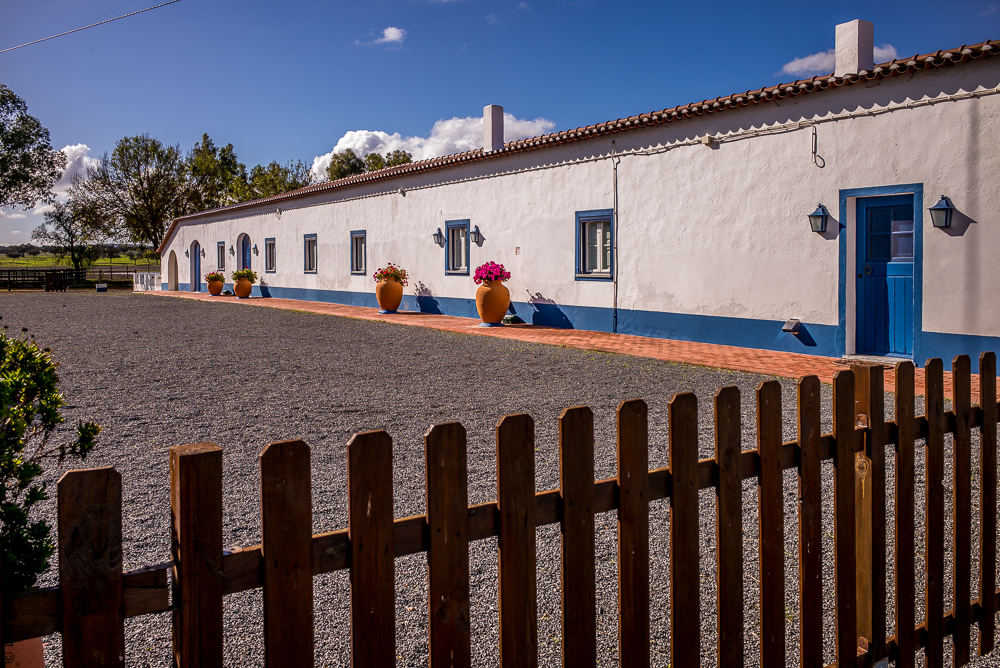 Tramagueira 20191118-0358