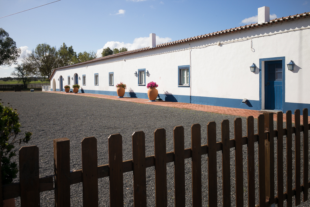 Tramagueira 20191118-0358