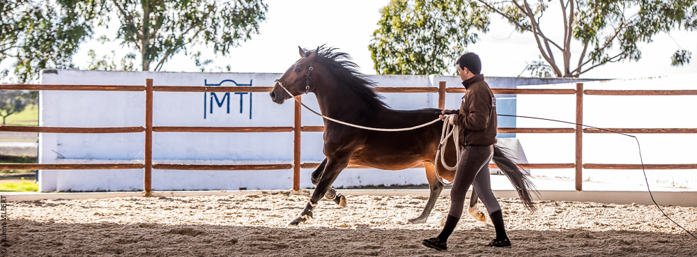 Tramagueira 20191118-0401