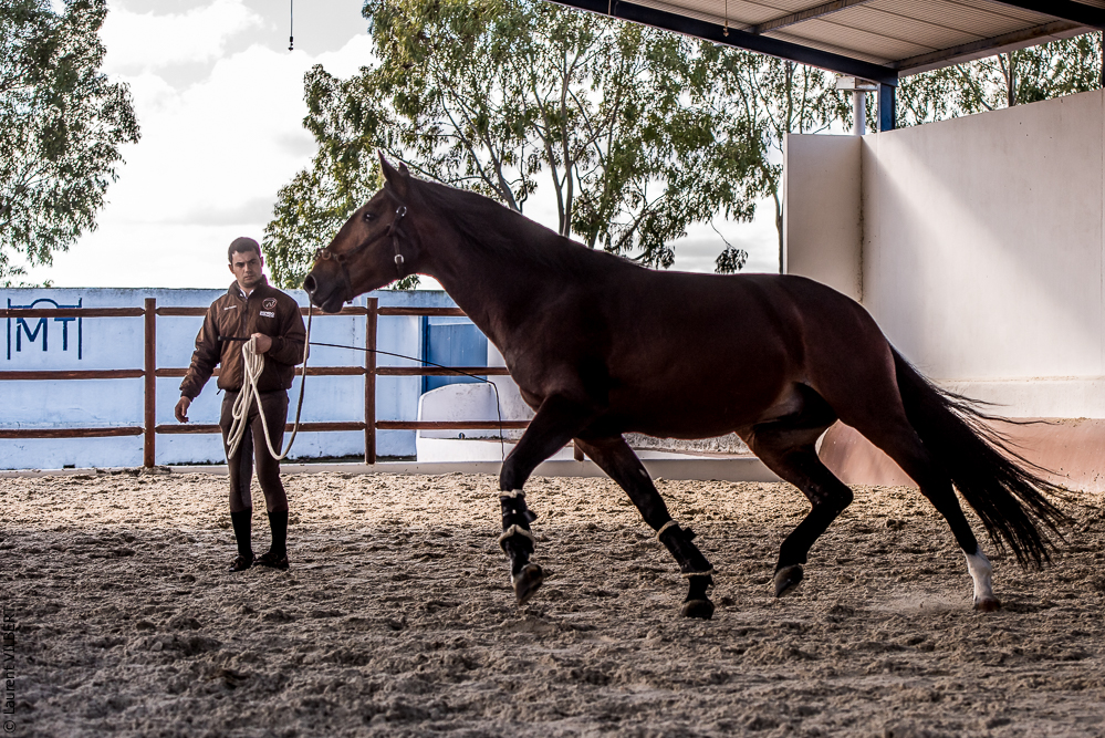 Tramagueira 20191118-0493