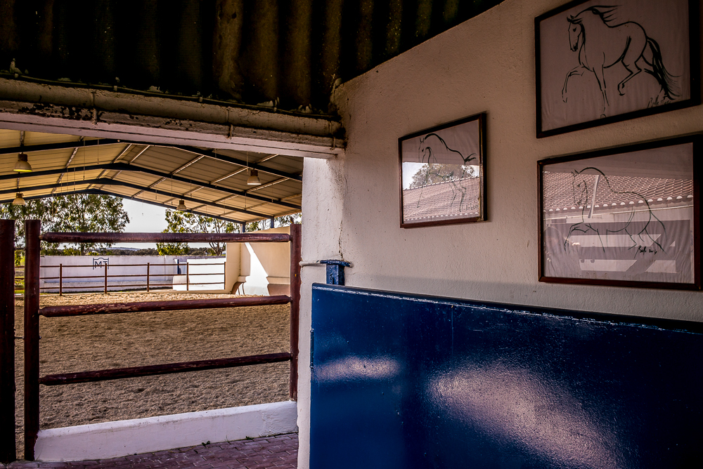 Tramagueira 20191118-0500