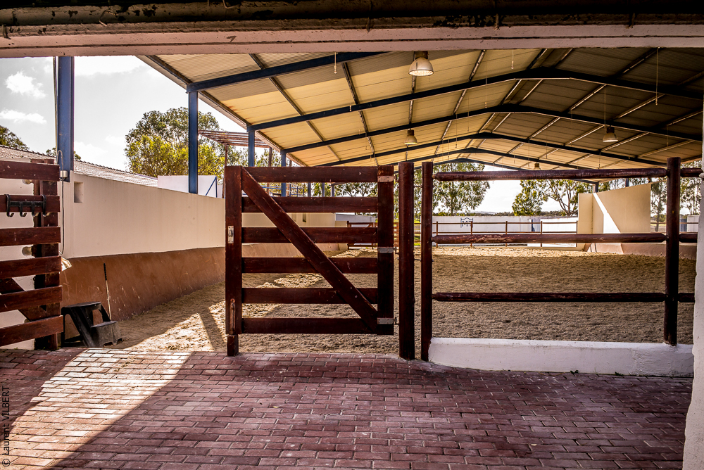 Tramagueira 20191118-0506