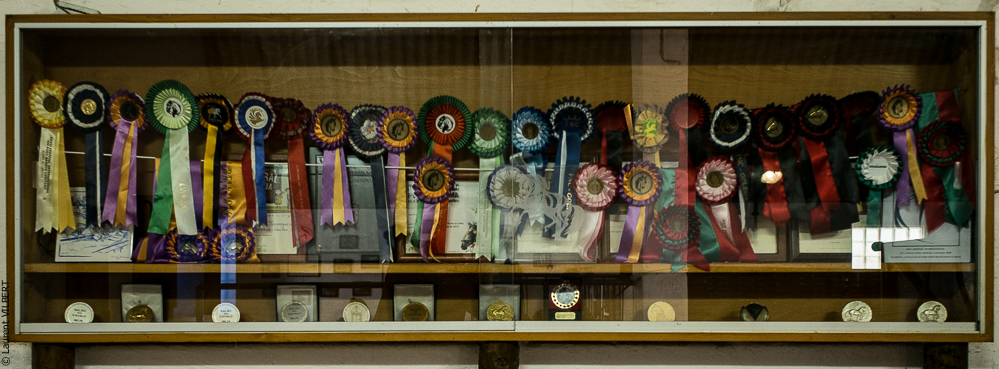 Tramagueira 20191118-0526