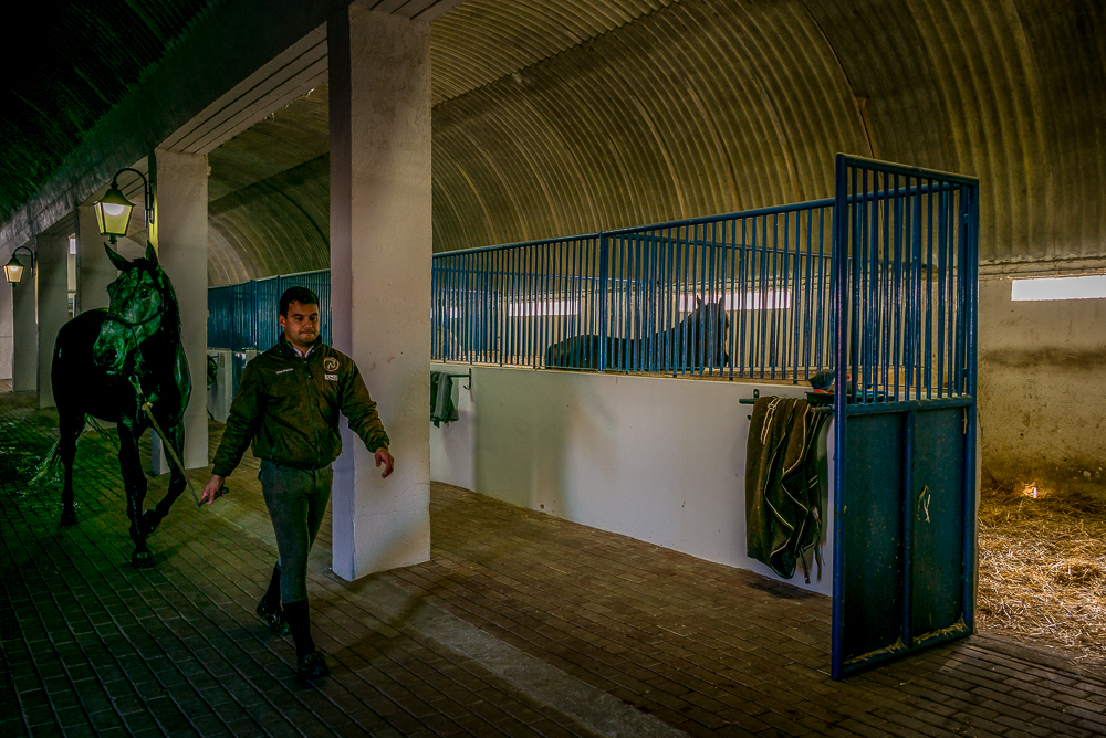 Tramagueira 20191118-0593