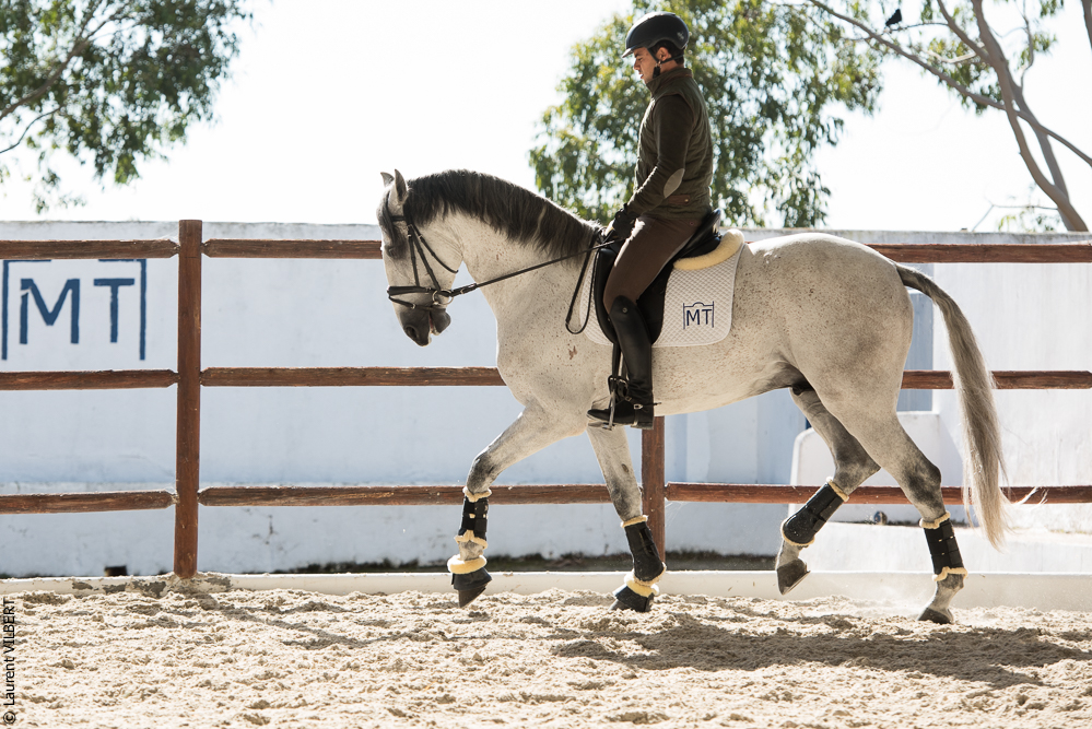 Tramagueira 20191118-0696
