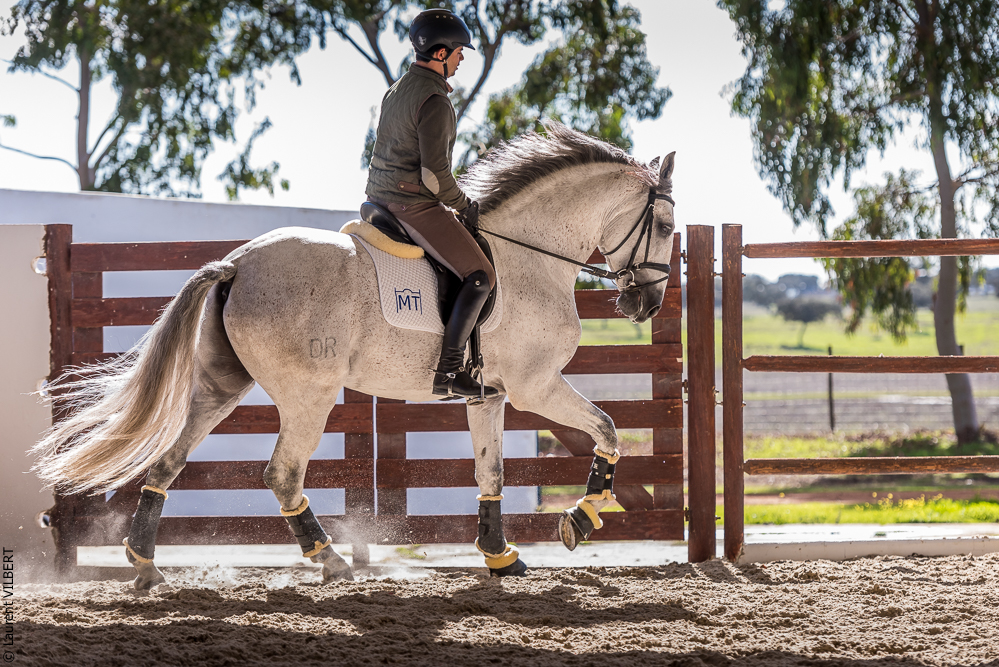 Tramagueira 20191118-0716