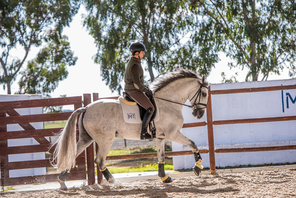 Tramagueira 20191118-0717